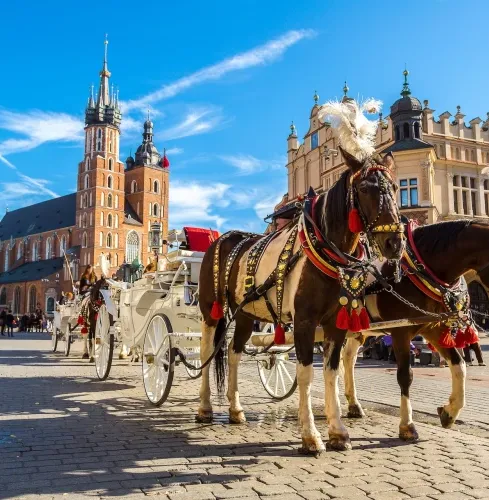 Kraków GRA MIEJSKA KRAKOWSKA GRATKA